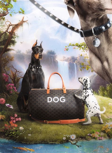 celine pet dames|What V Want: Celine Dog Collection .